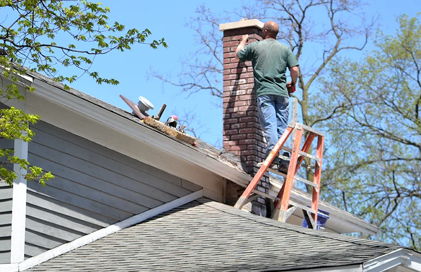 Chimney & Fireplace Inspections Services in East Highland Park, VA